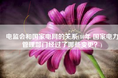 电监会和国家电网的关系(40年 国家电力管理部门经过了哪些变更？)