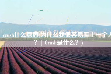 crush什么意思(为什么我很容易看上一个人？| Crush是什么？)