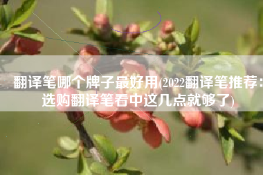 翻译笔哪个牌子最好用(2022翻译笔推荐：选购翻译笔看中这几点就够了)