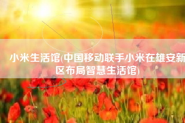 小米生活馆(中国移动联手小米在雄安新区布局智慧生活馆)