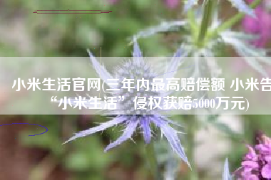 小米生活官网(三年内最高赔偿额 小米告“小米生活”侵权获赔5000万元)