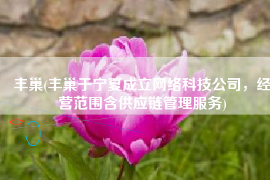 丰巢(丰巢于宁夏成立网络科技公司，经营范围含供应链管理服务)