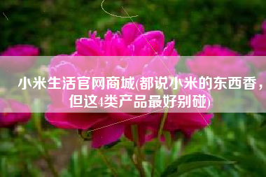 小米生活官网商城(都说小米的东西香，但这4类产品最好别碰)