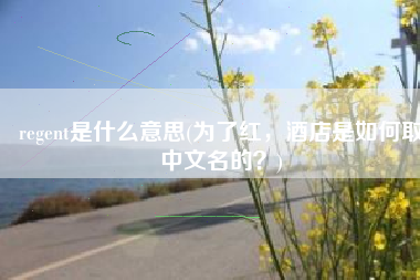 regent是什么意思(为了红，酒店是如何取中文名的？)