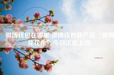 微博钱包在哪里(微博钱包新产品“微博花花金”今日正式上线)