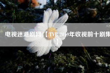 电视迷港剧网(【TVB 2019年收视前十剧集】)