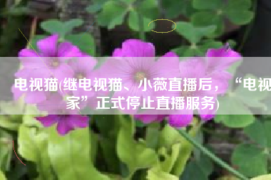 电视猫(继电视猫、小薇直播后，“电视家”正式停止直播服务)