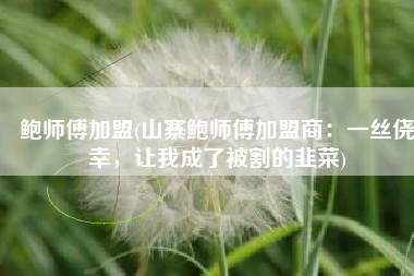 鲍师傅加盟(山寨鲍师傅加盟商：一丝侥幸，让我成了被割的韭菜)