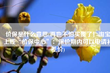 价保是什么意思(再也不怕买贵了！淘宝上线“价保中心”：保价期内可以申请补差价)
