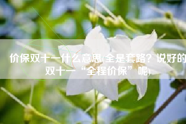 价保双十一什么意思(全是套路？说好的双十一“全程价保”呢)