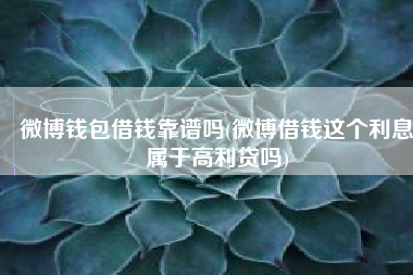 微博钱包借钱靠谱吗(微博借钱这个利息属于高利贷吗)