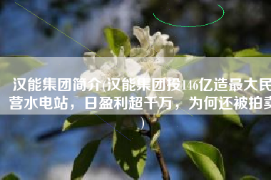 汉能集团简介(汉能集团投146亿造最大民营水电站，日盈利超千万，为何还被拍卖)