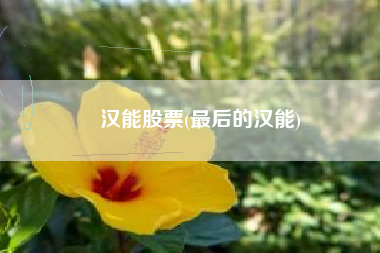 汉能股票(最后的汉能)