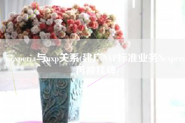 nexperia与nxp关系(建广NXP标准业务Nexperia再被挂牌)