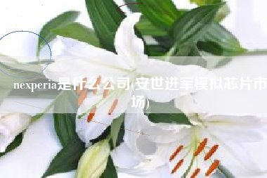 nexperia是什么公司(安世进军模拟芯片市场)