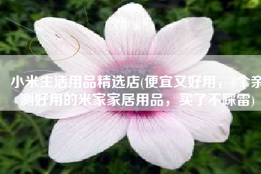 小米生活用品精选店(便宜又好用，8个亲测好用的米家家居用品，买了不踩雷)