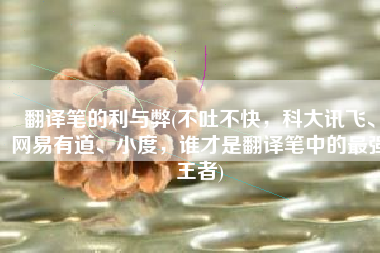 翻译笔的利与弊(不吐不快，科大讯飞、网易有道、小度，谁才是翻译笔中的最强王者)