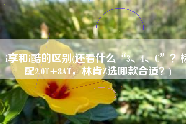 i享和i酷的区别(还看什么“3、4、C”？标配2.0T+8AT，林肯Z选哪款合适？)
