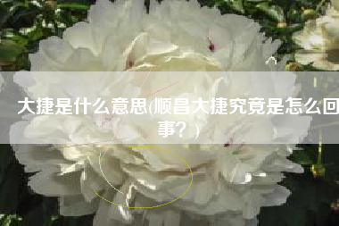 大捷是什么意思(顺昌大捷究竟是怎么回事？)