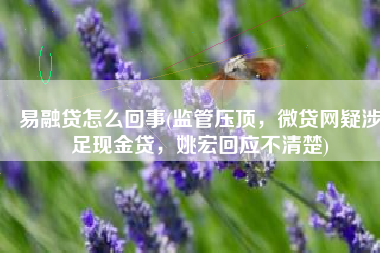 易融贷怎么回事(监管压顶，微贷网疑涉足现金贷，姚宏回应不清楚)