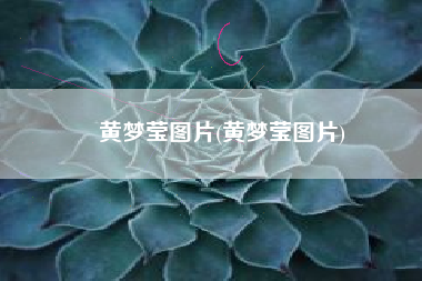 黄梦莹图片(黄梦莹图片)