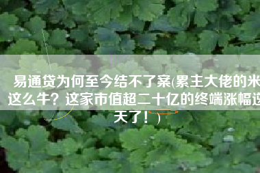 易通贷为何至今结不了案(累主大佬的米这么牛？这家市值超二十亿的终端涨幅逆天了！)