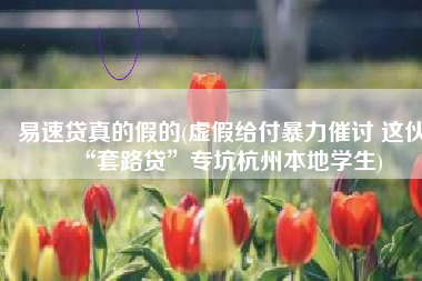 易速贷真的假的(虚假给付暴力催讨 这伙“套路贷”专坑杭州本地学生)