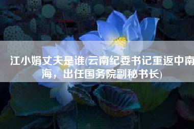 江小娟丈夫是谁(云南纪委书记重返中南海，出任国务院副秘书长)