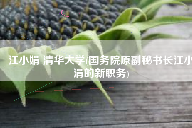 江小娟 清华大学(国务院原副秘书长江小涓的新职务)