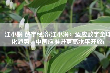 江小娟 数字经济(江小涓：适应数字全球化趋势，中国应推进更高水平开放)