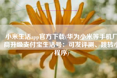 小米生活app官方下载(华为小米等手机厂商升级支付宝生活号：可发评测、跳转小程序)