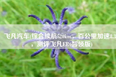 飞凡汽车(综合续航520km，百公里加速8.3s，测评飞凡ER6智领版)