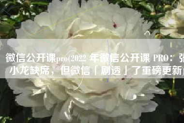 微信公开课pro(2022 年微信公开课 PRO：张小龙缺席，但微信「剧透」了重磅更新)