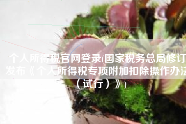 个人所得税官网登录(国家税务总局修订发布《个人所得税专项附加扣除操作办法（试行）》)