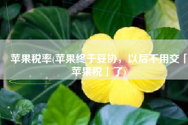 苹果税率(苹果终于妥协，以后不用交「苹果税」了)