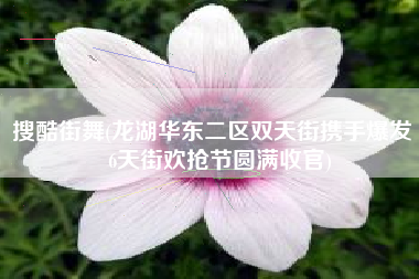 搜酷街舞(龙湖华东二区双天街携手爆发 66天街欢抢节圆满收官)