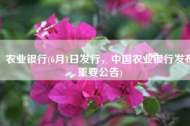 农业银行(6月1日发行，中国农业银行发布重要公告)