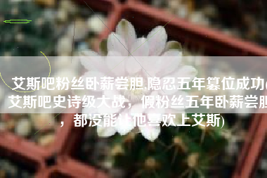 艾斯吧粉丝卧薪尝胆,隐忍五年篡位成功(艾斯吧史诗级大战，假粉丝五年卧薪尝胆，都没能让他喜欢上艾斯)