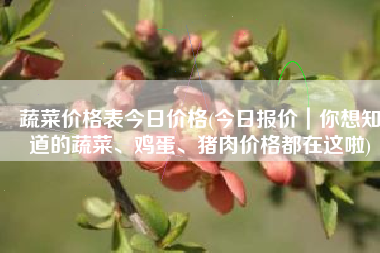 蔬菜价格表今日价格(今日报价｜你想知道的蔬菜、鸡蛋、猪肉价格都在这啦)