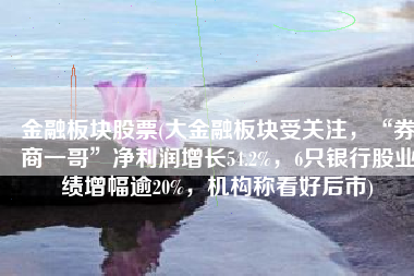 金融板块股票(大金融板块受关注，“券商一哥”净利润增长54.2%，6只银行股业绩增幅逾20%，机构称看好后市)