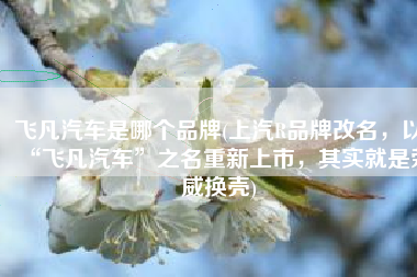 飞凡汽车是哪个品牌(上汽R品牌改名，以“飞凡汽车”之名重新上市，其实就是荣威换壳)