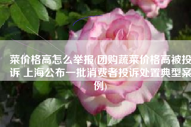 菜价格高怎么举报(团购蔬菜价格高被投诉 上海公布一批消费者投诉处置典型案例)