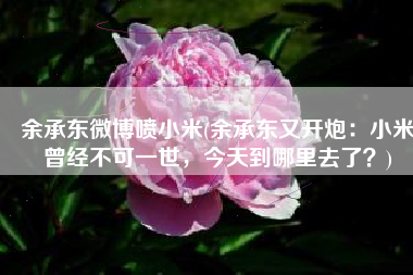余承东微博喷小米(余承东又开炮：小米曾经不可一世，今天到哪里去了？)