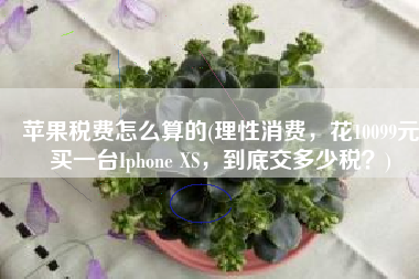 苹果税费怎么算的(理性消费，花10099元买一台Iphone XS，到底交多少税？)