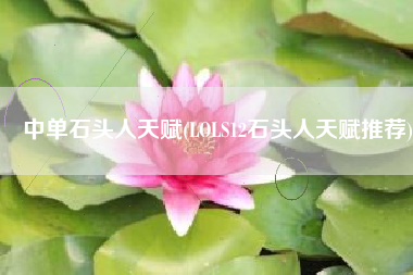 中单石头人天赋(LOLS12石头人天赋推荐)