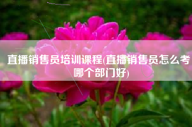 直播销售员培训课程(直播销售员怎么考，哪个部门好)