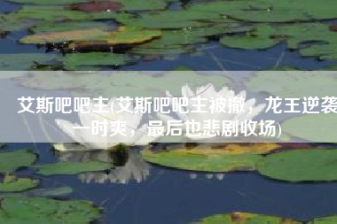 艾斯吧吧主(艾斯吧吧主被撤，龙王逆袭一时爽，最后也悲剧收场)