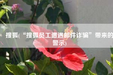 搜狐(“搜狐员工遭遇邮件诈骗”带来的警示)