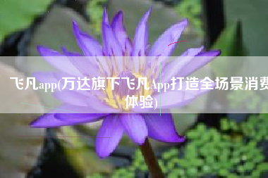 飞凡app(万达旗下飞凡App打造全场景消费体验)