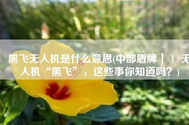 黑飞无人机是什么意思(中部盾牌｜① 无人机“黑飞”，这些事你知道吗？)